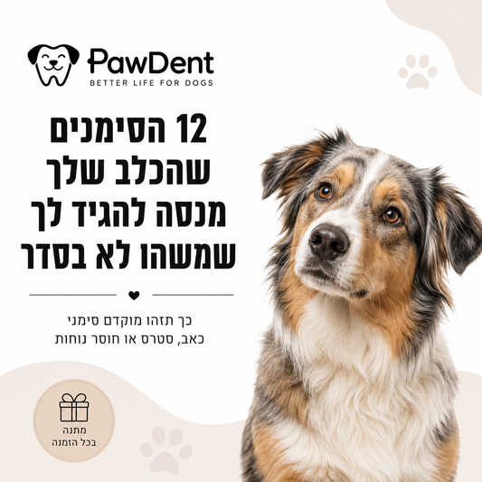 12 הסימנים שהכלב שלך מנסה להגיד לך שמשהו לא בסדר