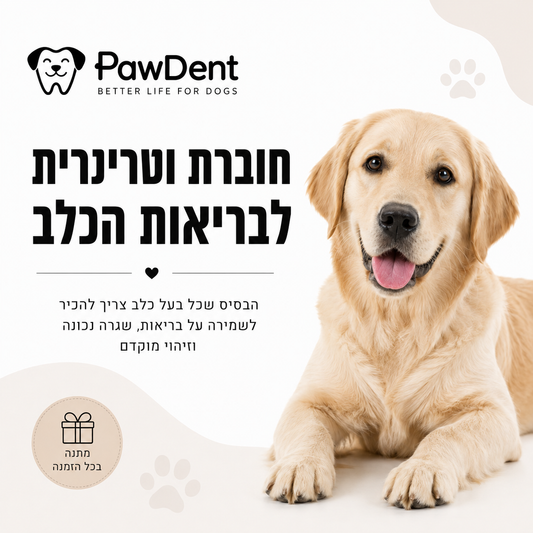 חוברת וטרינרית לבריאות הכלב