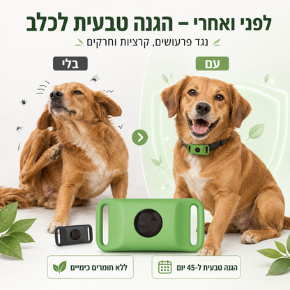 קולר טבעי להרחקת פרעושים ומזיקים