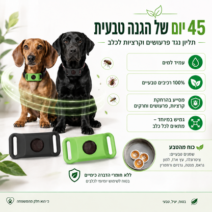 קולר טבעי להרחקת פרעושים ומזיקים