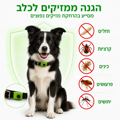 קולר טבעי להרחקת פרעושים ומזיקים