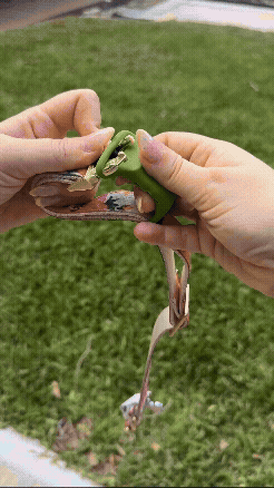 סרטון לקוח