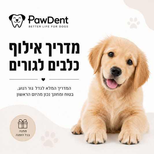 מדריך אילוף כלבים לגורים