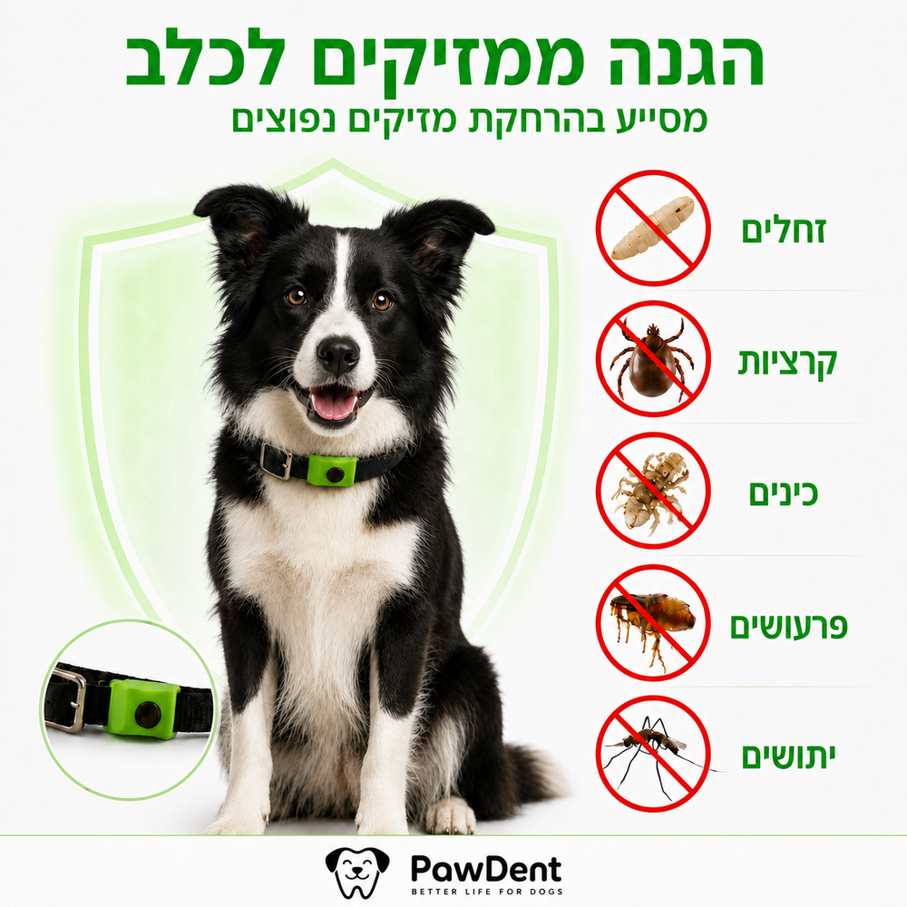 PawGuard 45™  תליון צמחי המסייע בהרחקת פרעושים וקרציות